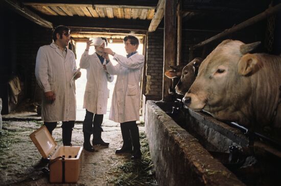 Students of Kostroma Agricultural Institute during fieldwork