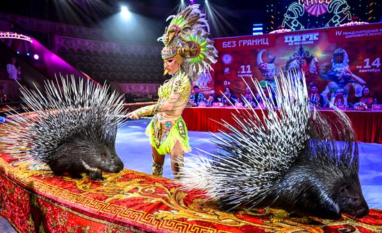 Russia International Circus Festival