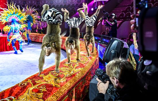 Russia International Circus Festival