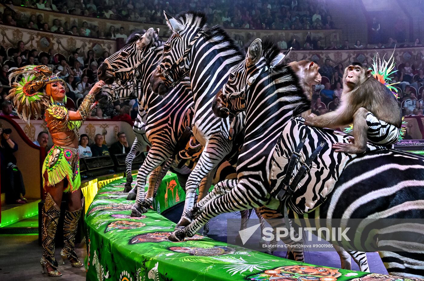 Russia International Circus Festival