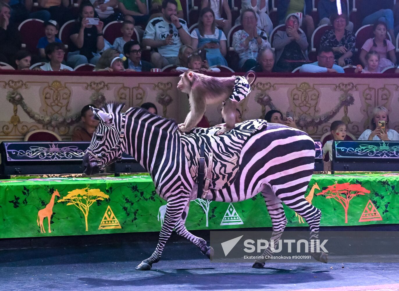 Russia International Circus Festival