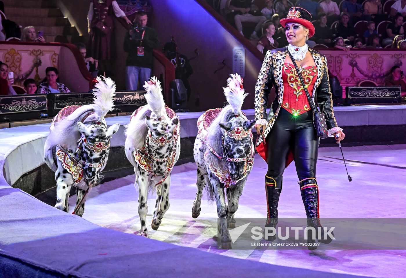 Russia International Circus Festival