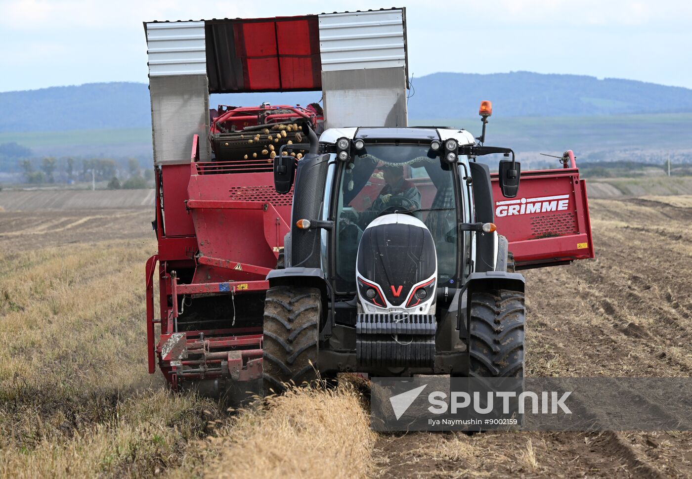 Russia Agriculture Potato Harvesting