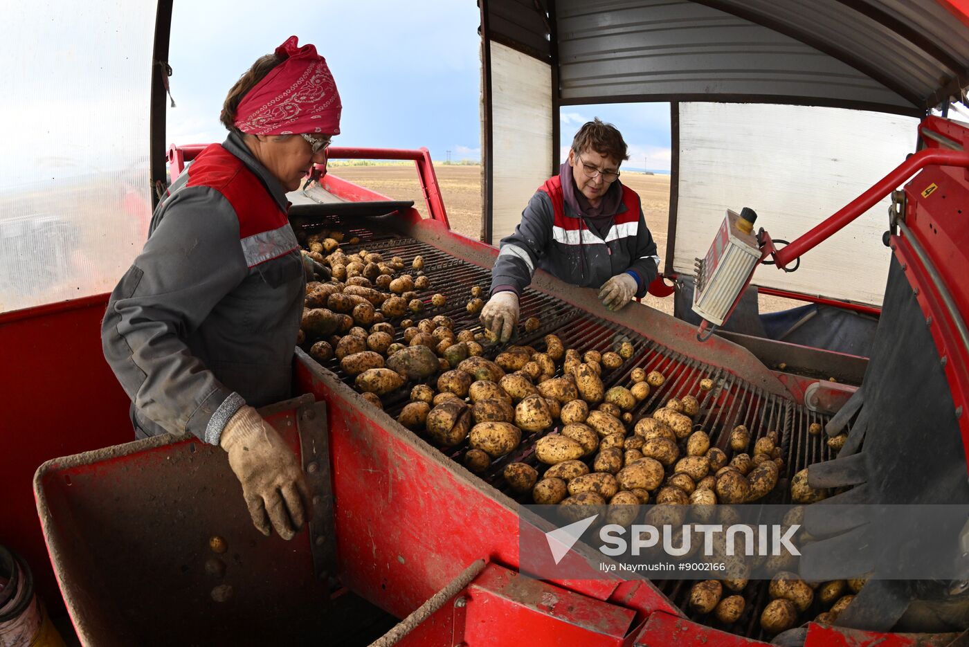 Russia Agriculture Potato Harvesting