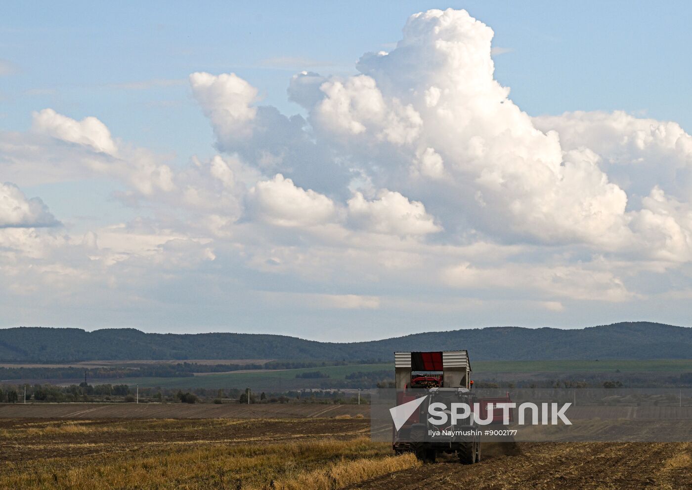 Russia Agriculture Potato Harvesting