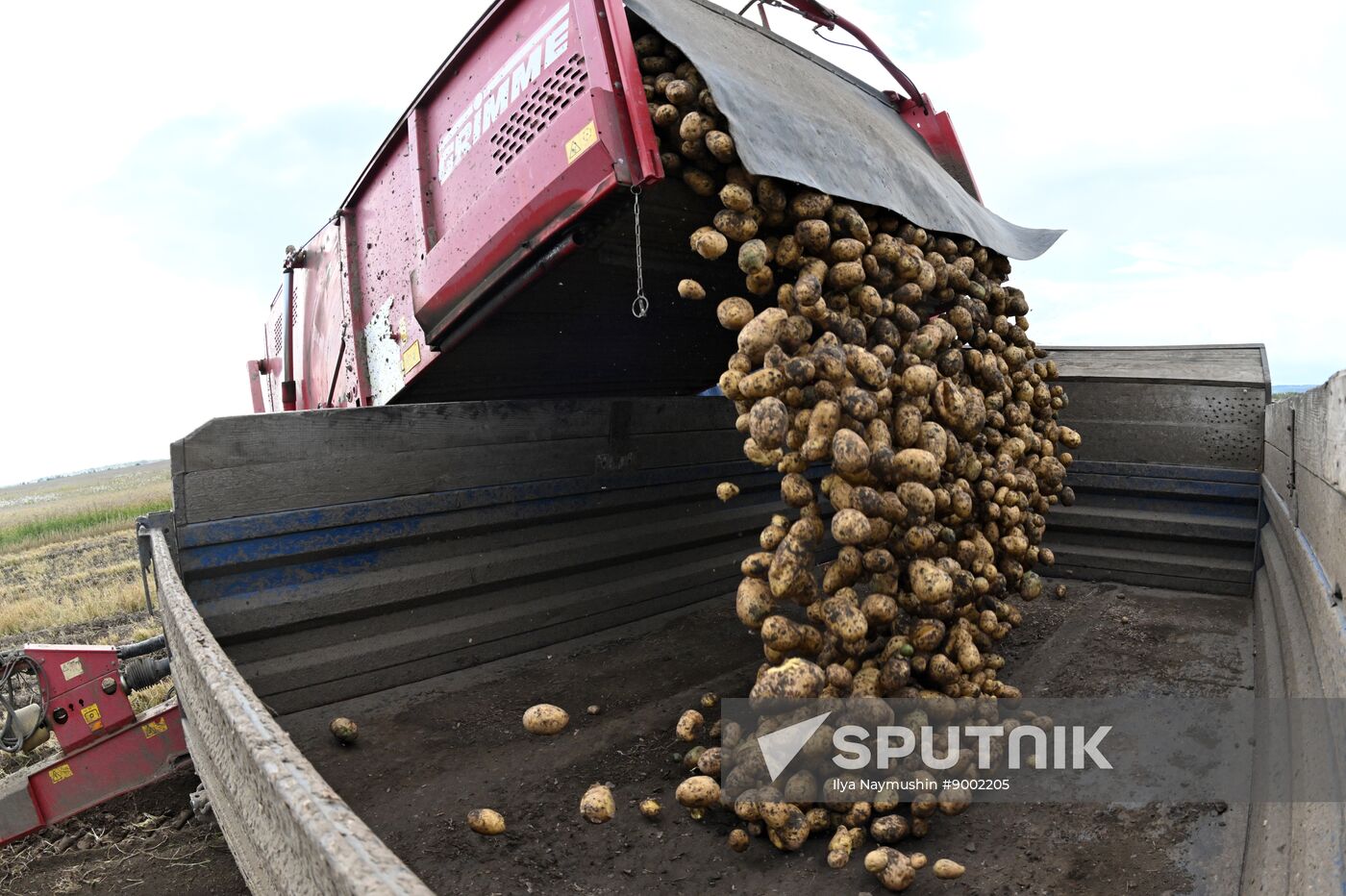 Russia Agriculture Potato Harvesting