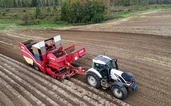 Russia Agriculture Potato Harvesting