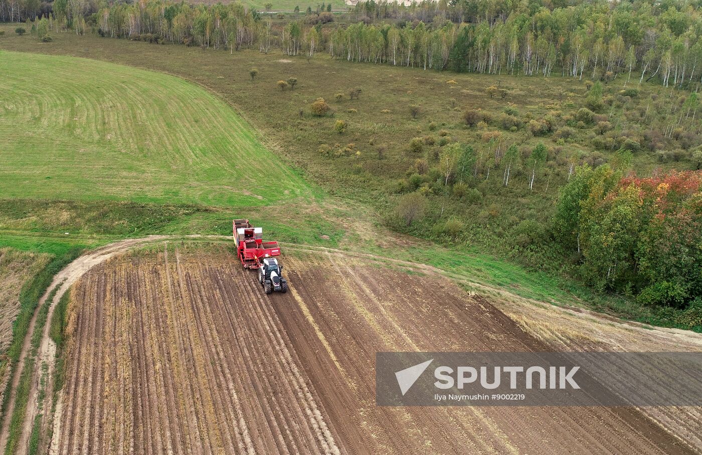 Russia Agriculture Potato Harvesting