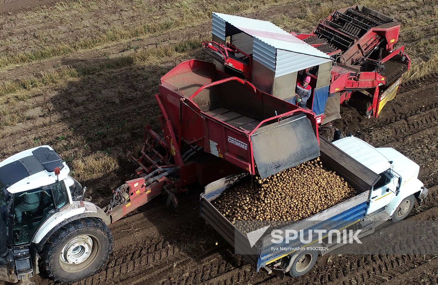 Russia Agriculture Potato Harvesting