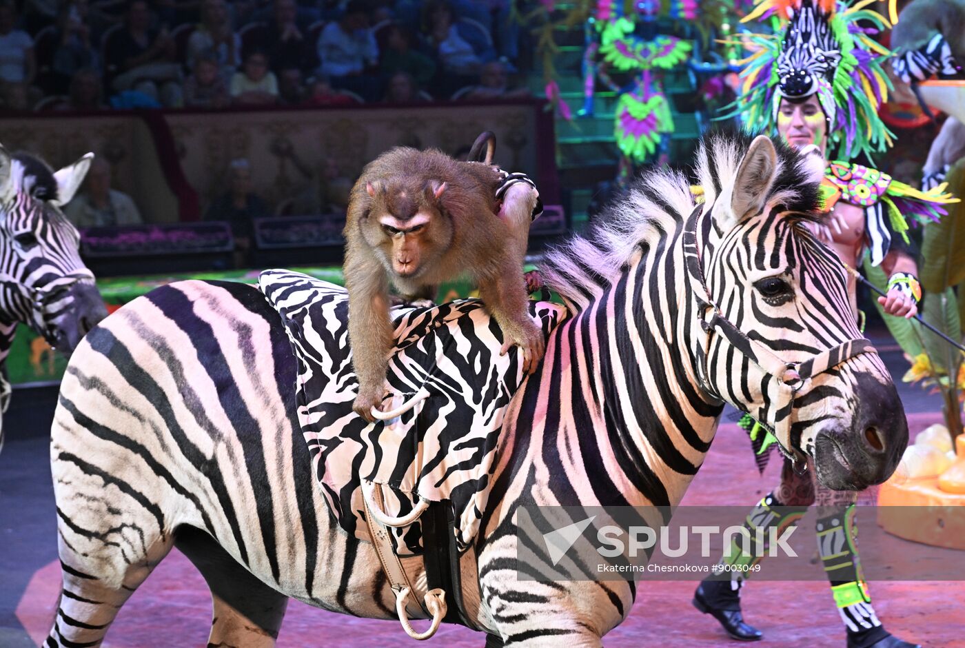 Russia International Circus Festival