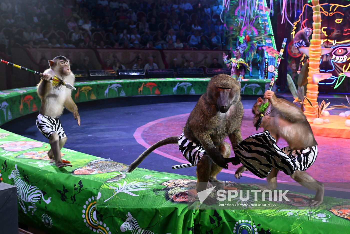 Russia International Circus Festival