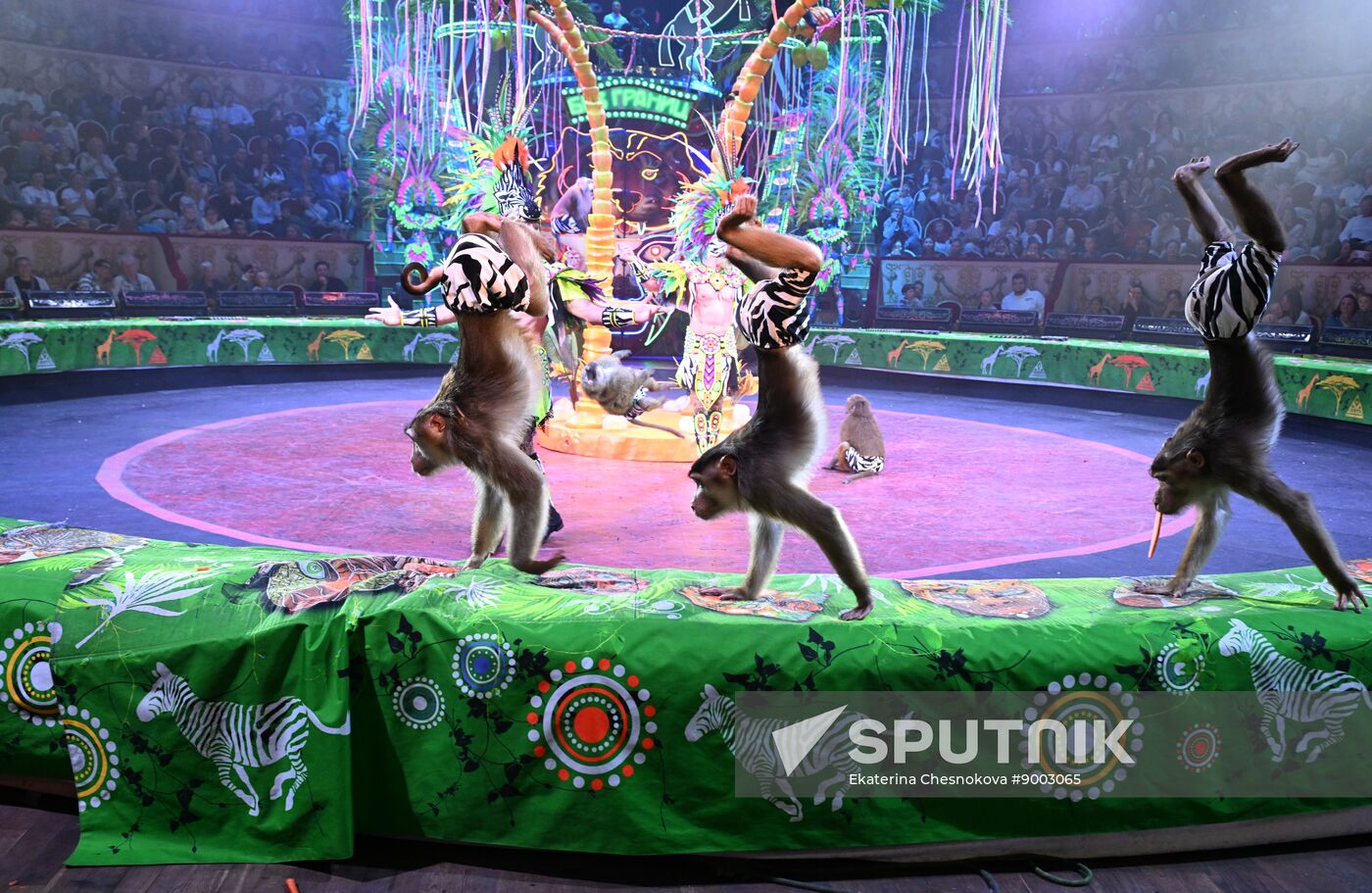 Russia International Circus Festival