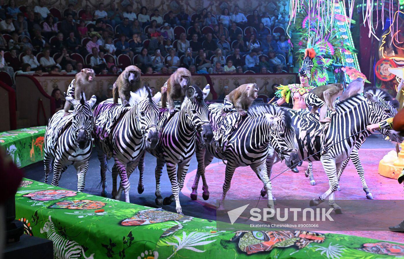Russia International Circus Festival