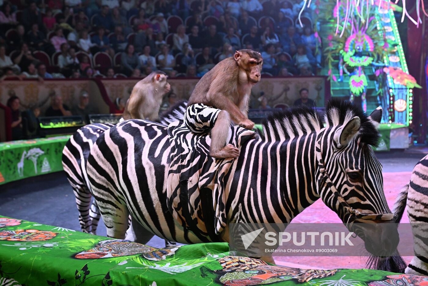 Russia International Circus Festival