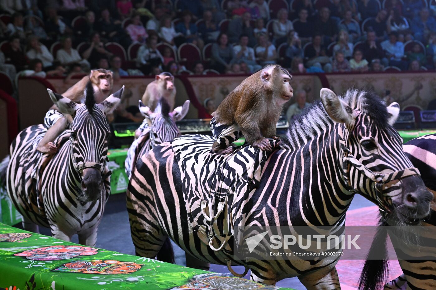 Russia International Circus Festival