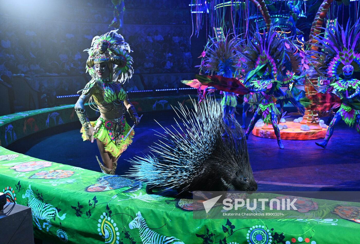 Russia International Circus Festival