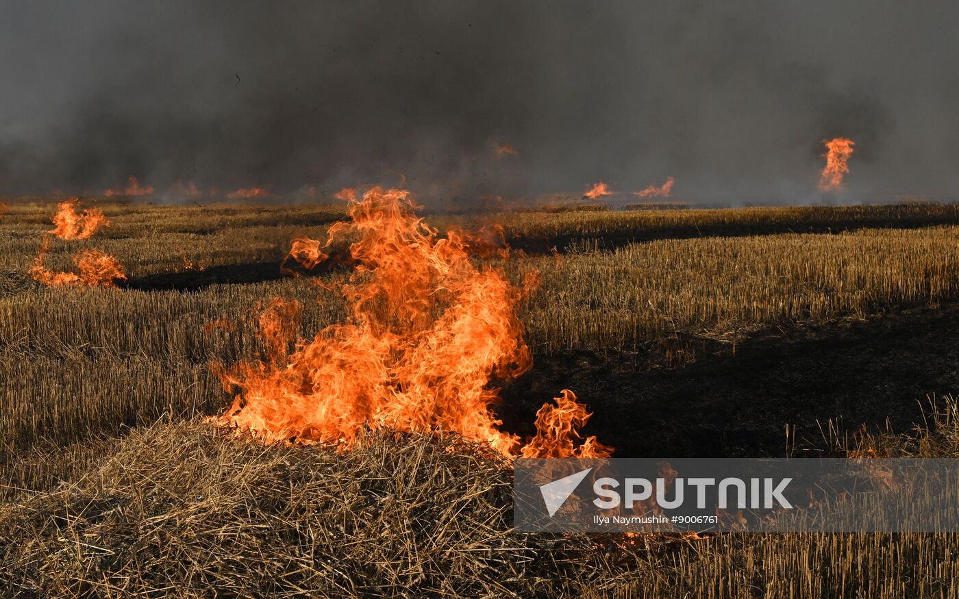 Russia Agriculture Wheat Harvesting