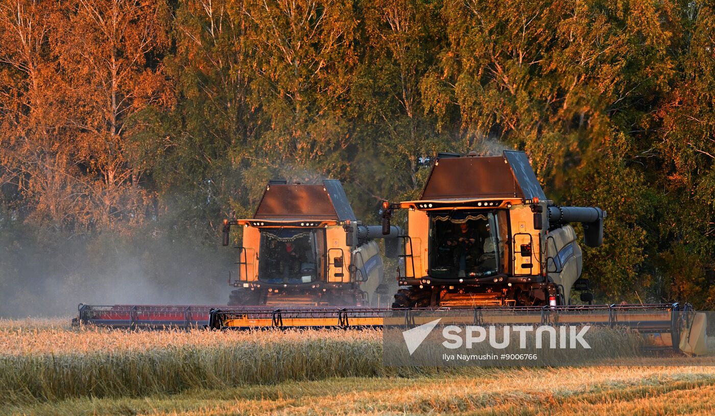 Russia Agriculture Wheat Harvesting