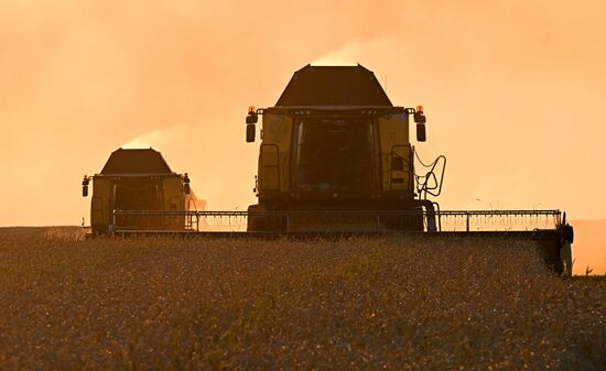 Russia Agriculture Wheat Harvesting