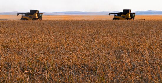 Russia Agriculture Wheat Harvesting