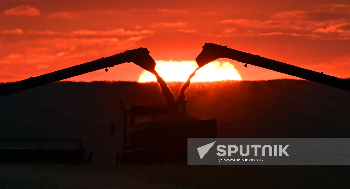 Russia Agriculture Wheat Harvesting