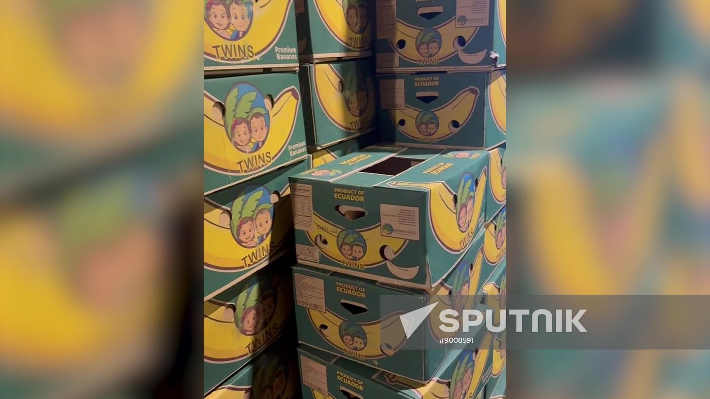 Russia Cocaine Smuggling Prevention