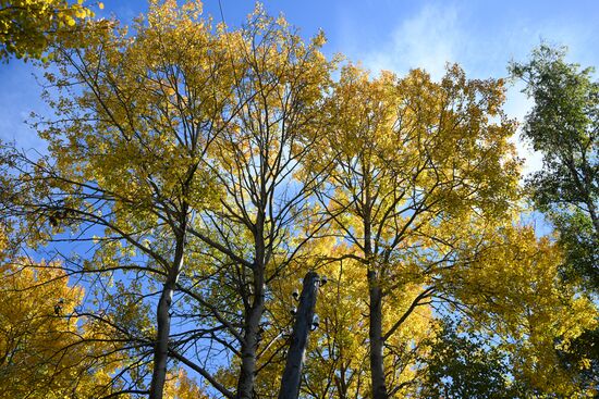 Russia Environment Baikal Lake Protection Law