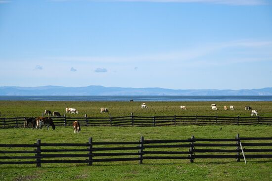 Russia Environment Baikal Lake Protection Law