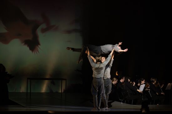 Russia Ballet Fate Project