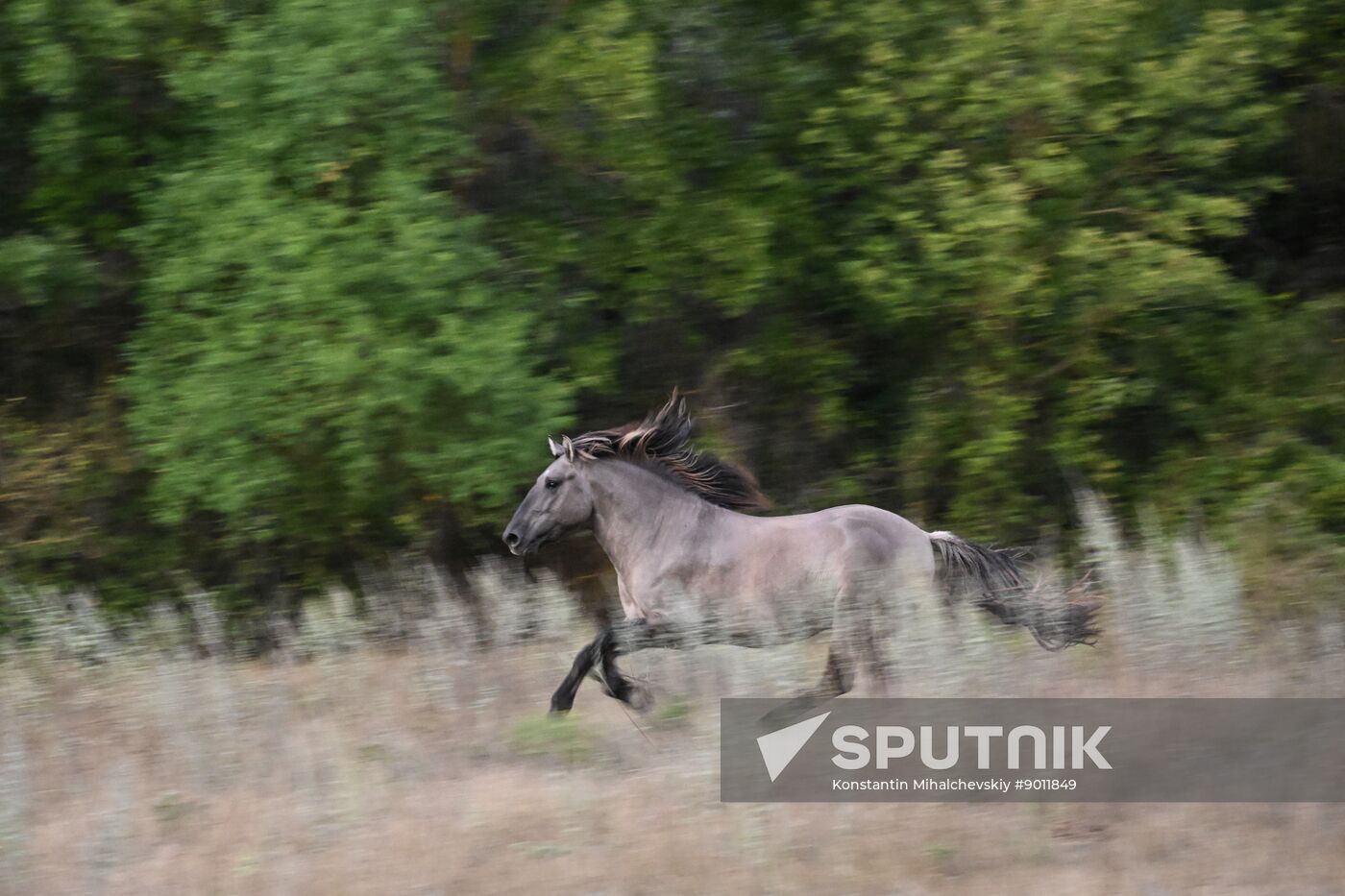 Russia Crimea Tourism