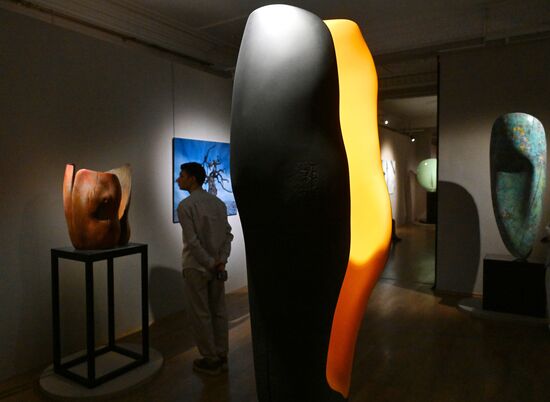 Russia Art Namdakov Sculpture Exhibition