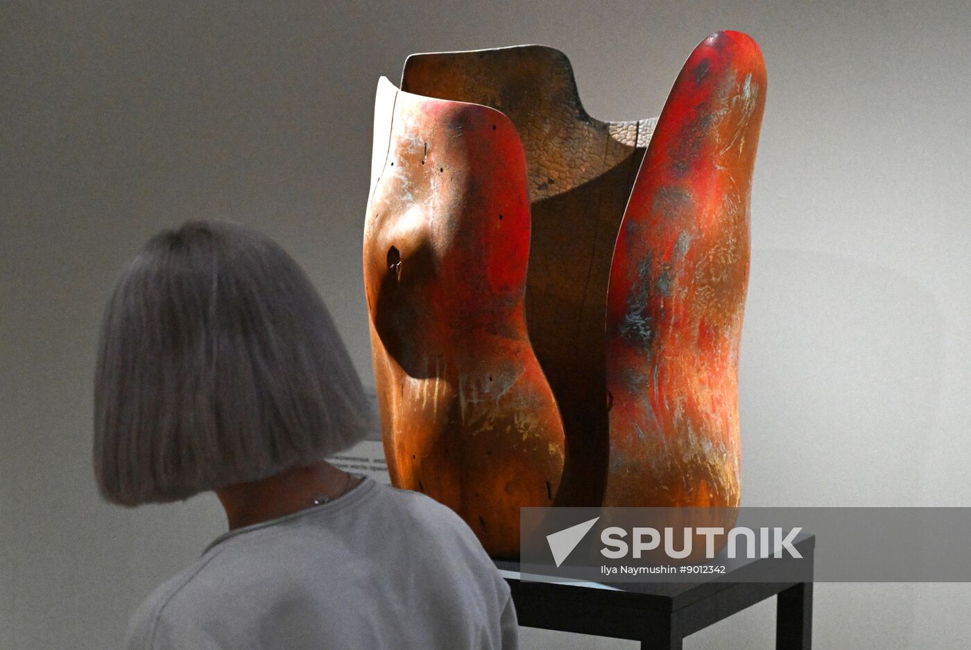 Russia Art Namdakov Sculpture Exhibition