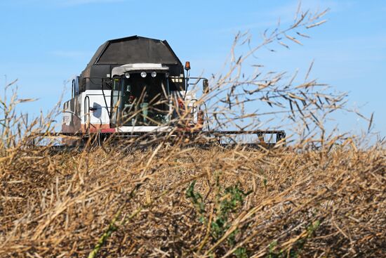Russia Agriculture
