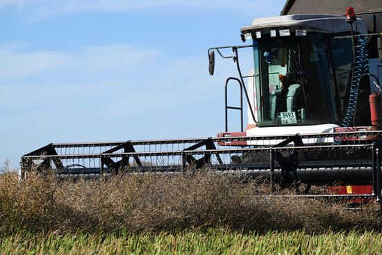 Russia Agriculture