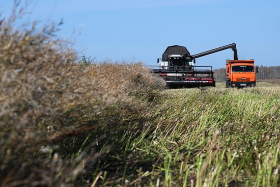 Russia Agriculture