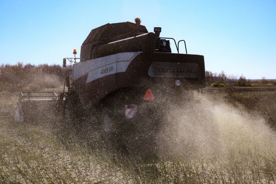 Russia Agriculture