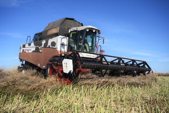 Russia Agriculture
