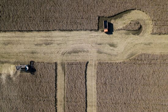 Russia Agriculture