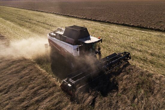 Russia Agriculture