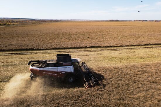 Russia Agriculture