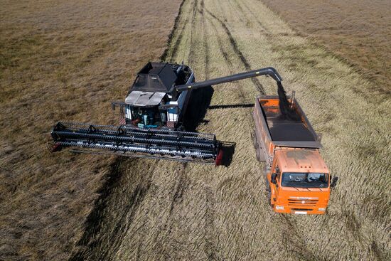 Russia Agriculture