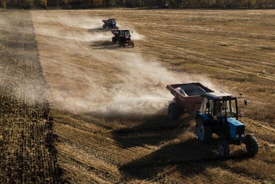 Russia Agriculture