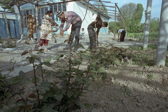 Lenin Collective Farm in Tajik SSR's Leninabad Region