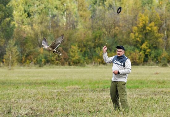 Russia Falconers Gathering