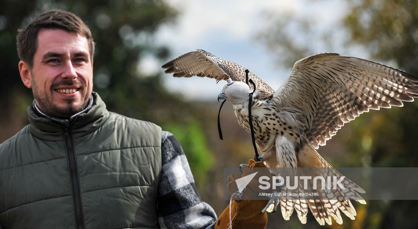 Russia Falconers Gathering
