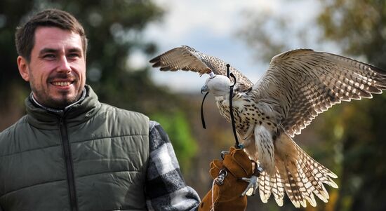 Russia Falconers Gathering