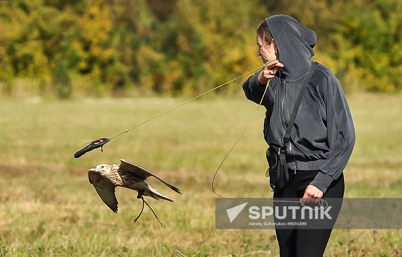 Russia Falconers Gathering