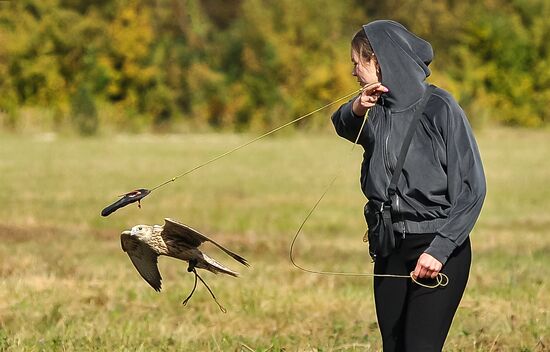 Russia Falconers Gathering