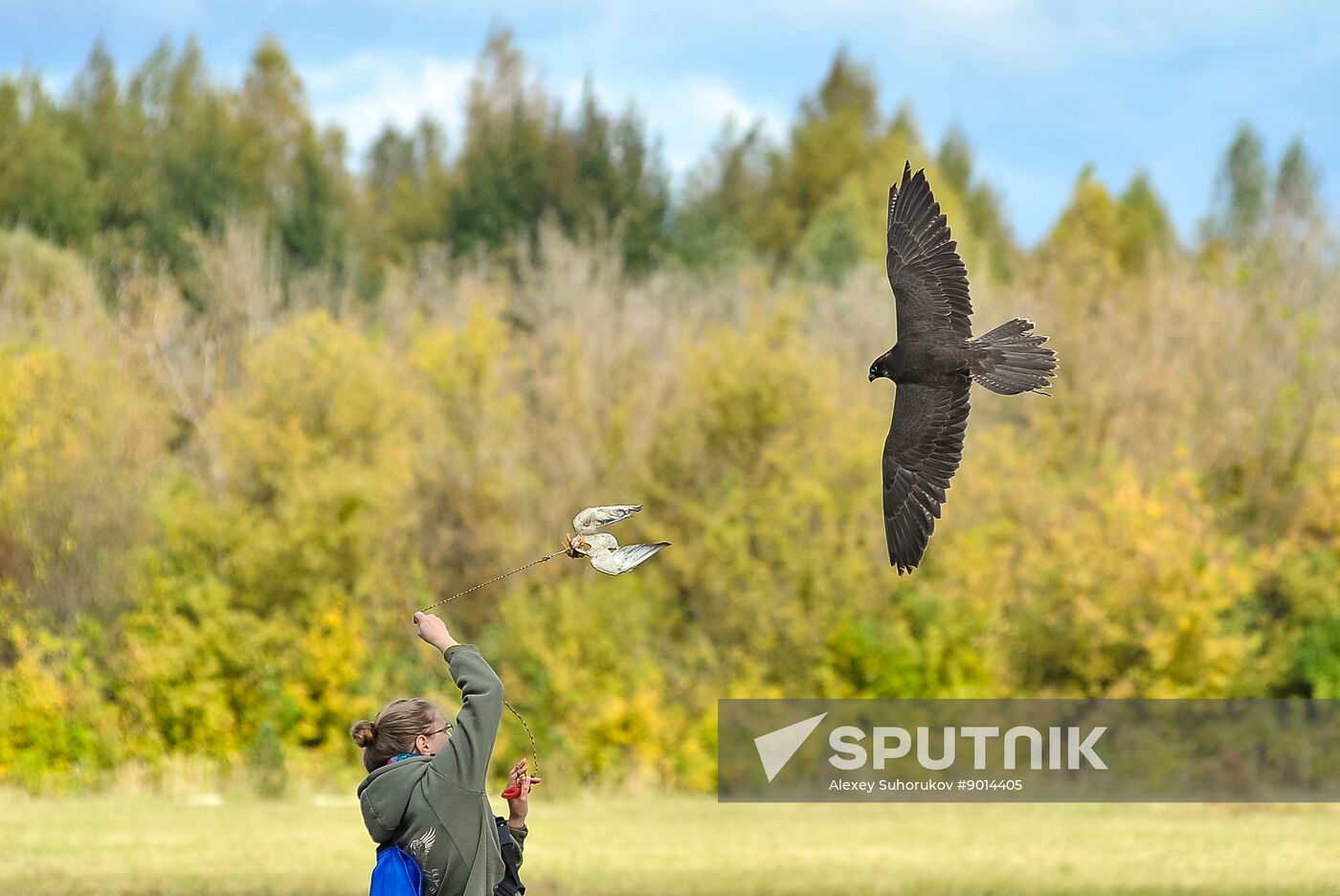 Russia Falconers Gathering