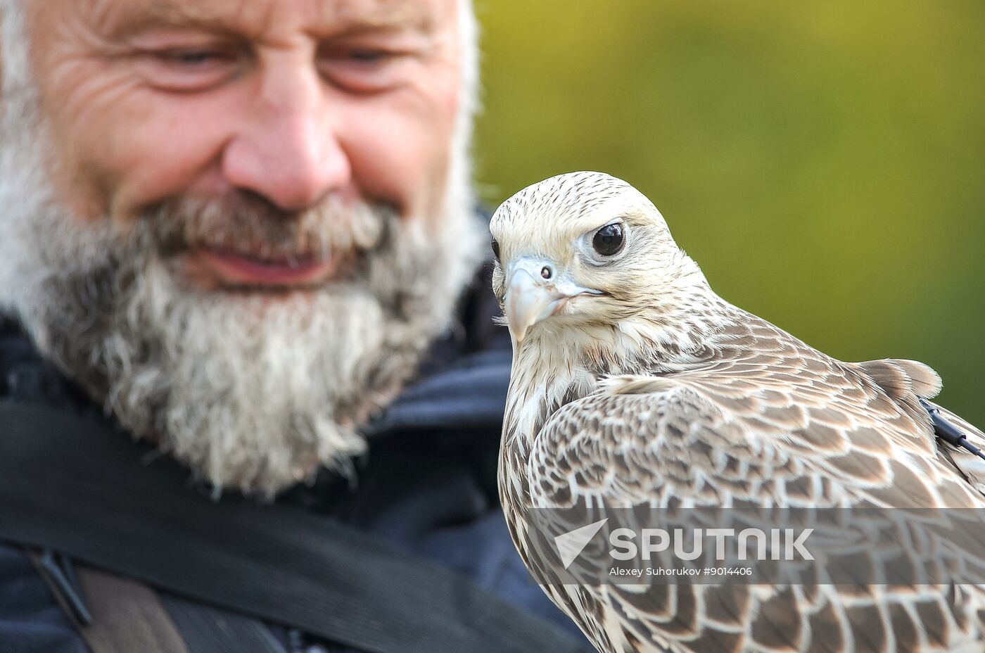Russia Falconers Gathering